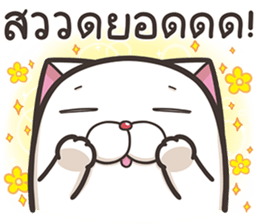 74091507