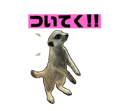 740922394