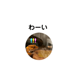 740938456