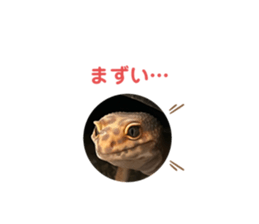 740938467