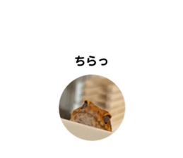 740938478