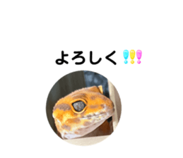 740938484