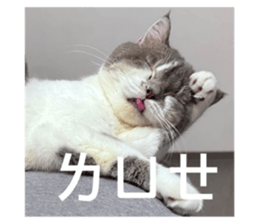 740939759