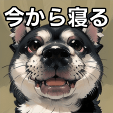 740943226