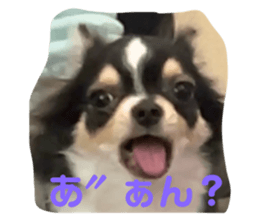740944530