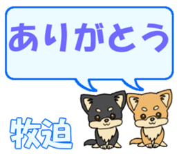 740948146
