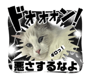 740970616