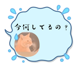 740989167