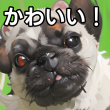 741061204