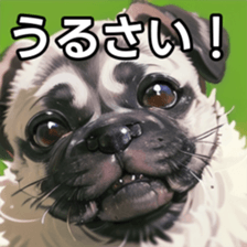 741061213