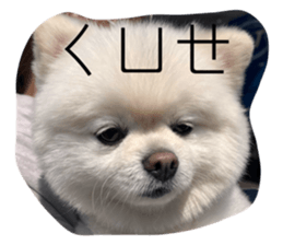 741140865