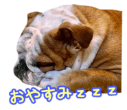 741181027