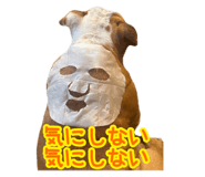 741181035