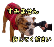 741181036