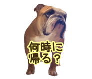 741181044