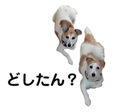 741181299