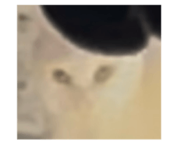 741207666
