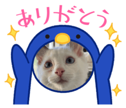 741207711