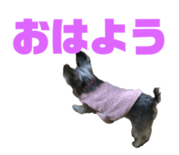 741213446