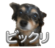 741214487