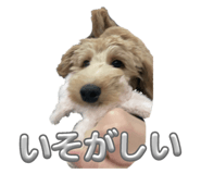 741214493