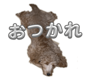 741214496