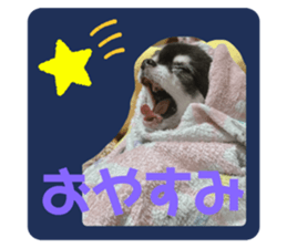 741222900