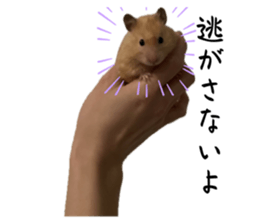 741238027