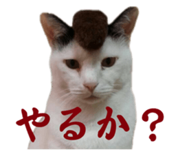 741238765