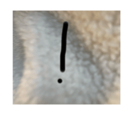 741270749