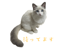 741279956