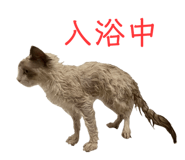 741279957