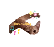 741280902