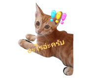 741280904