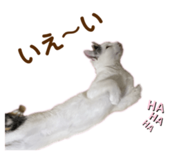 741289649