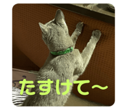 741293667