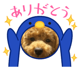 741371077