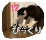 741391727
