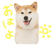 741397099