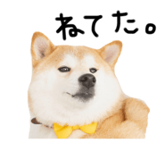 741397115