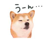741397117
