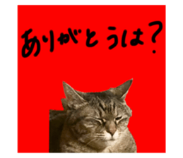 741406460