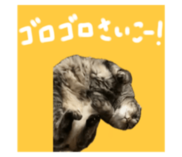 741406463