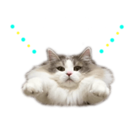 741436857