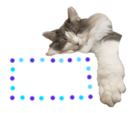 741436861