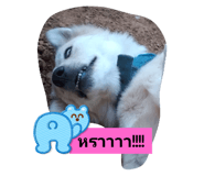 741441716