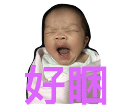 74149036