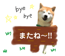 74149625