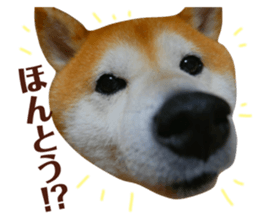 74149626