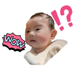 741526644